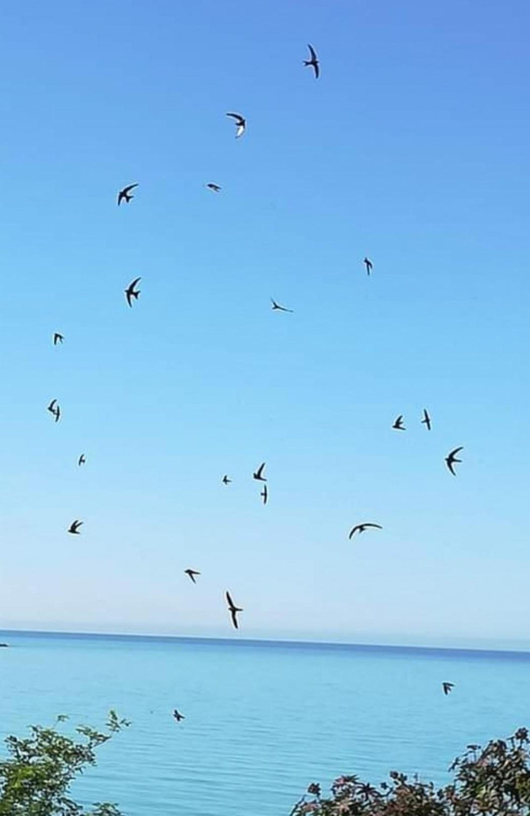Mediterraneo Travel Gela Kültér fotó