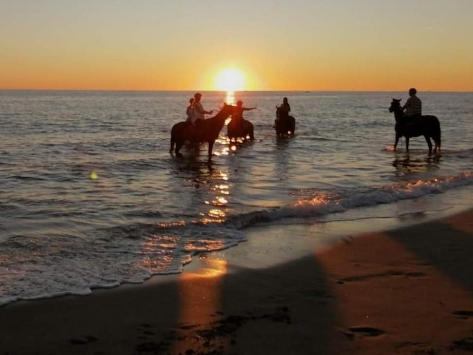 Mediterraneo Travel Gela Kültér fotó